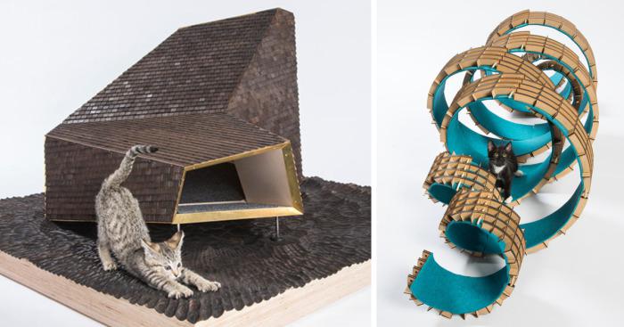 architectcathomes_014 architectcathomes_014