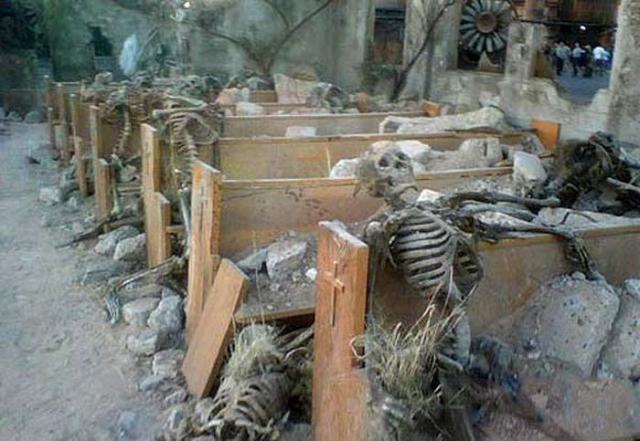 samaze_070-366 samaze_070-366