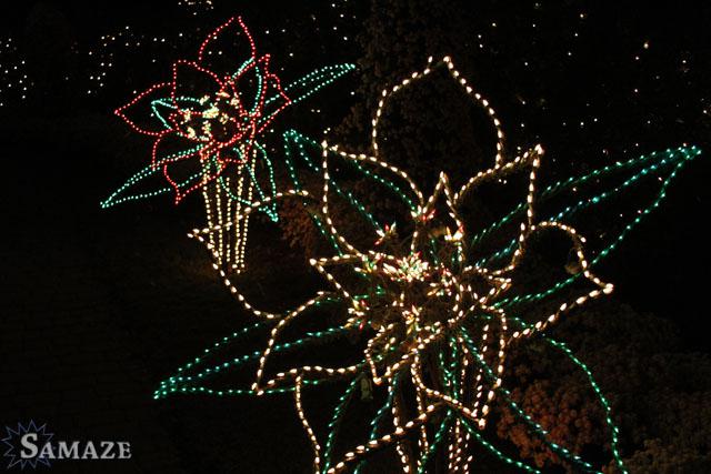 samaze_004-676 samaze_004-676