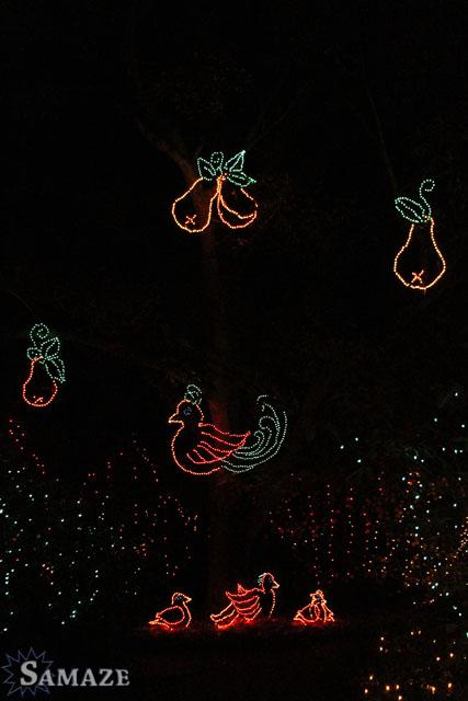 samaze_033-353 samaze_033-353