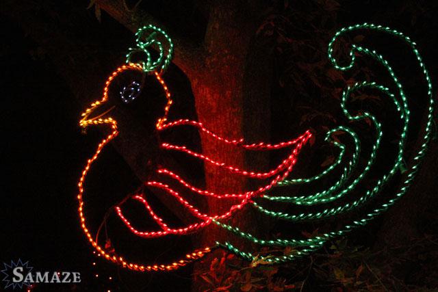 samaze_034-338 samaze_034-338