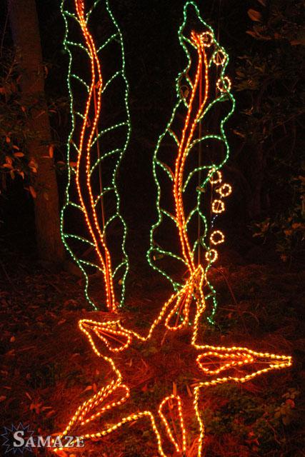 samaze_048-240 samaze_048-240