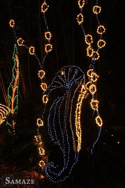 samaze_049-238 samaze_049-238