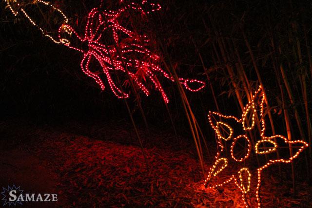 samaze_051-208 samaze_051-208