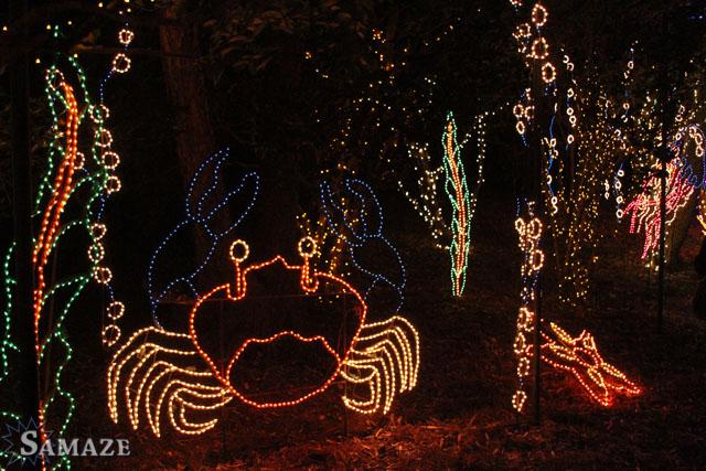 samaze_055-193 samaze_055-193