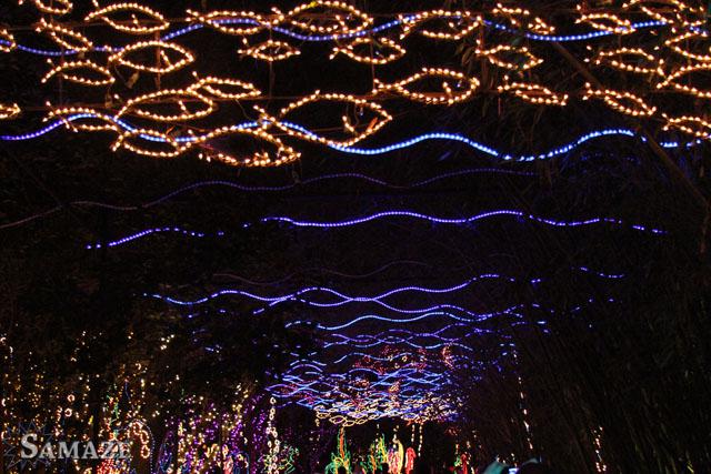 samaze_056-187 samaze_056-187