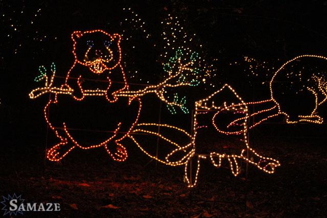 samaze_113-79 samaze_113-79