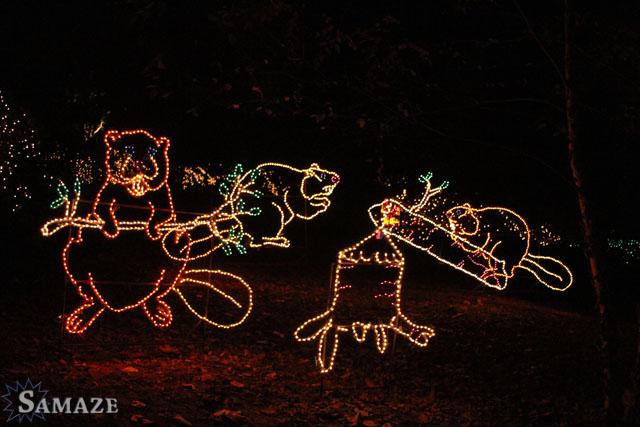 samaze_114-77 samaze_114-77