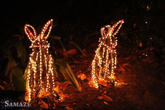 samaze_116-75 samaze_116-75