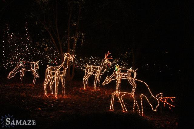 samaze_117-72 samaze_117-72