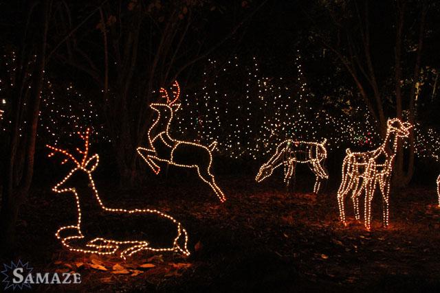 samaze_118-69 samaze_118-69