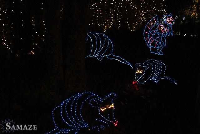 samaze_119-67 samaze_119-67