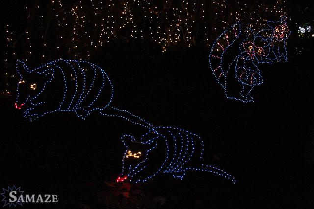 samaze_120-67 samaze_120-67