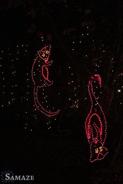 samaze_121-61 samaze_121-61