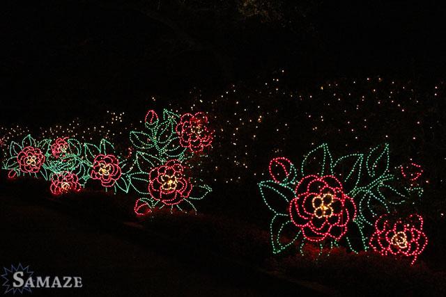 samaze_124-59 samaze_124-59