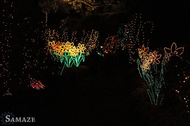 samaze_128-52 samaze_128-52