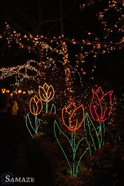 samaze_140-35 samaze_140-35