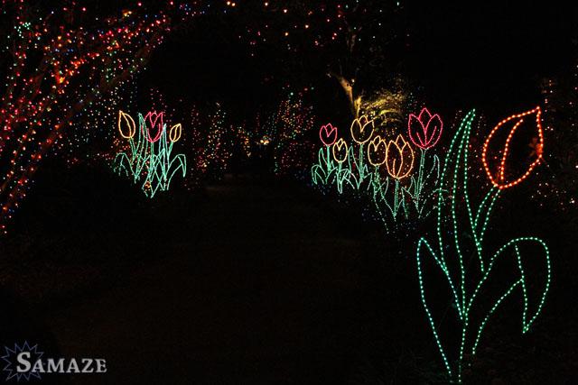 samaze_148-20 samaze_148-20