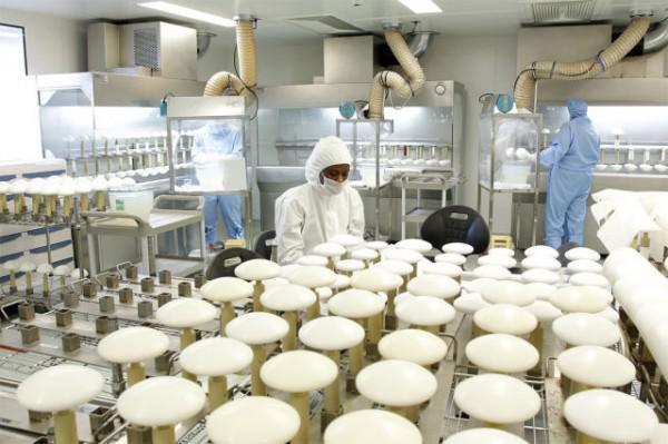 samaze_003-99 samaze_003-99