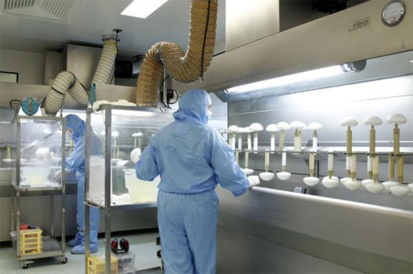 samaze_005-100 samaze_005-100