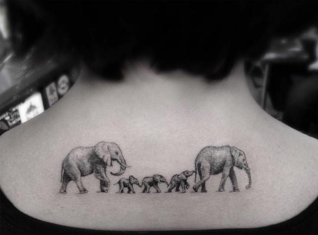 samaze_006-1642 samaze_006-1642