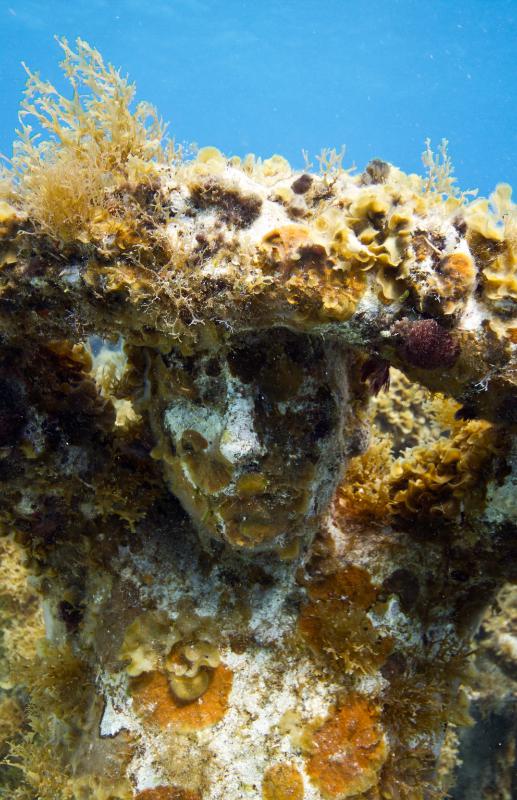 samaze_030-696 samaze_030-696