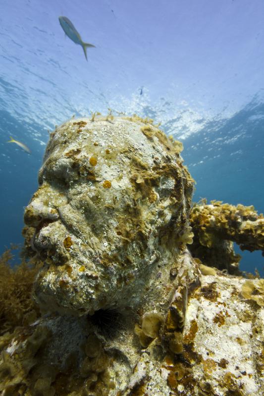 samaze_032-654 samaze_032-654