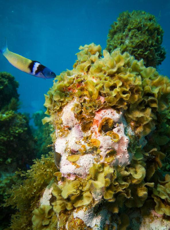 samaze_038-563 samaze_038-563