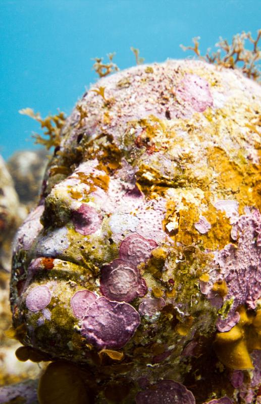 samaze_043-496 samaze_043-496