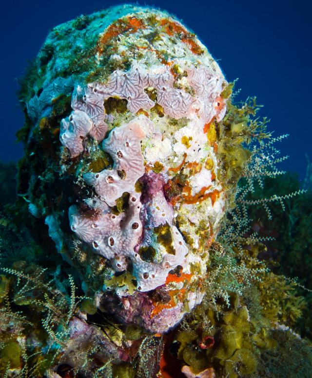 samaze_051-398 samaze_051-398