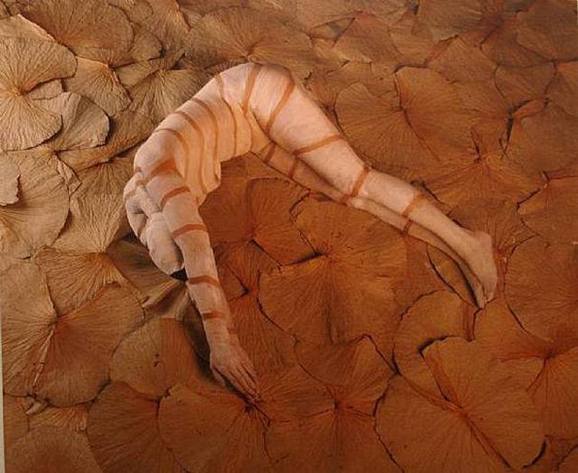 samaze_017-244 samaze_017-244