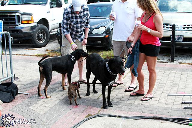 samaze_037-419 samaze_037-419