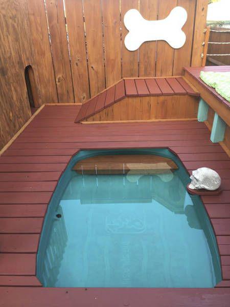 dogparadise_005 dogparadise_005