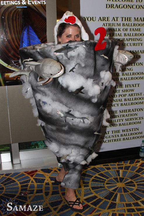 samaze_220-13 samaze_220-13