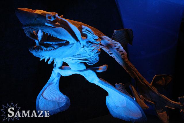 samaze_089-290 samaze_089-290