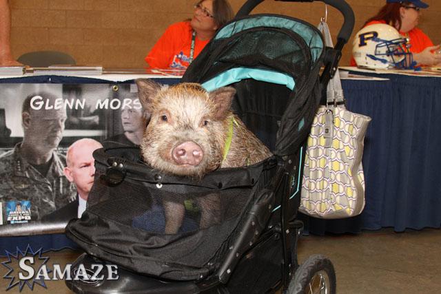 samaze_040-628 samaze_040-628