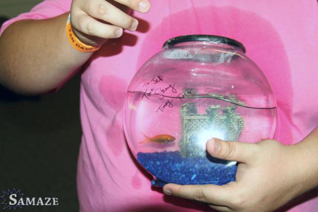 samaze_153-10 samaze_153-10