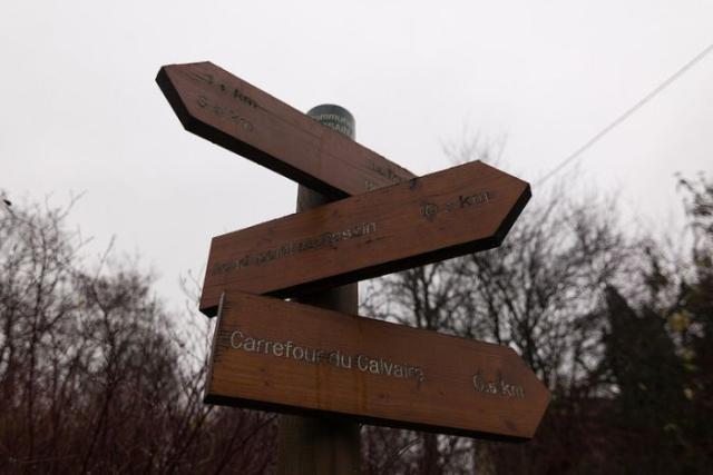 samaze_033-466 samaze_033-466