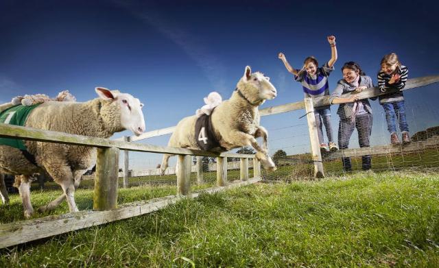 samaze_012-392 samaze_012-392