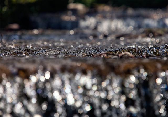 samaze_024-695 samaze_024-695