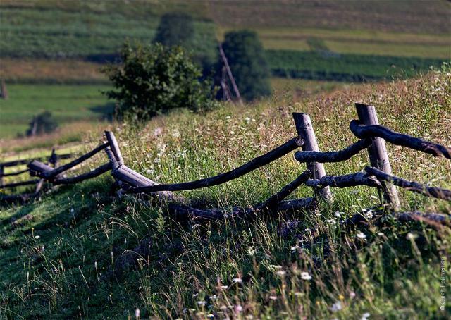 samaze_101-176 samaze_101-176