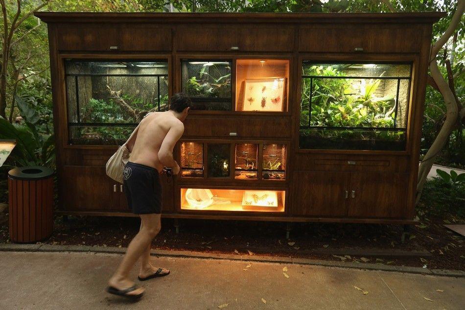 indoorbeachresort_010 indoorbeachresort_010