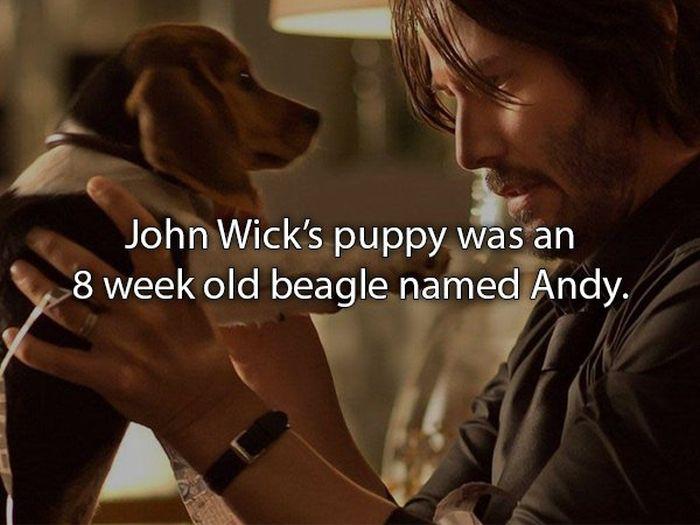 johnwickfacts_010 johnwickfacts_010