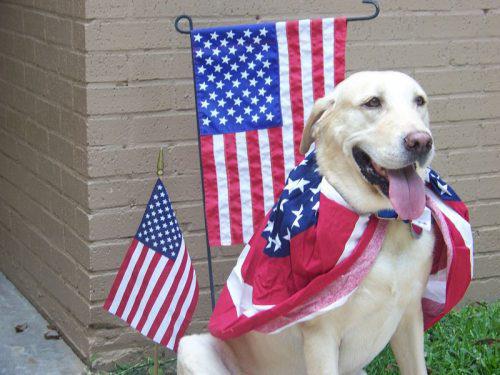 samaze_006-986 samaze_006-986