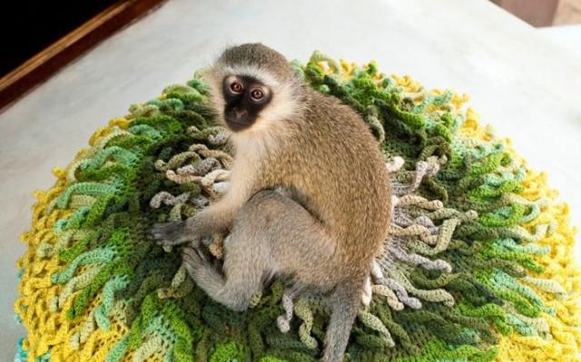 samaze_009-12 samaze_009-12