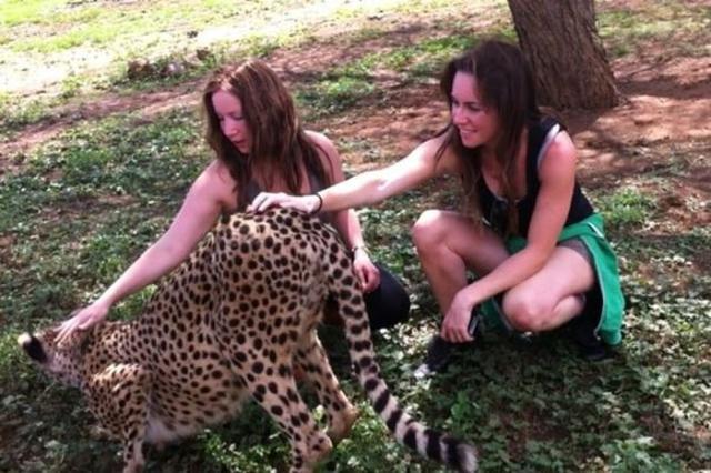 samaze_027-427 samaze_027-427