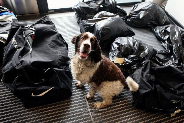 samaze_003-300 samaze_003-300