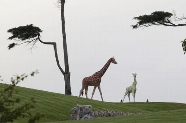 samaze_013-86 samaze_013-86