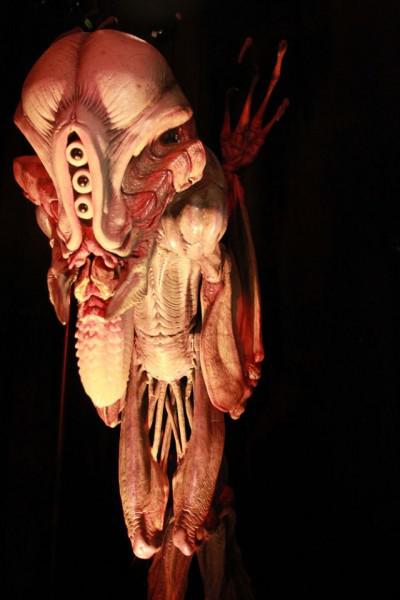 samaze_028-90 samaze_028-90