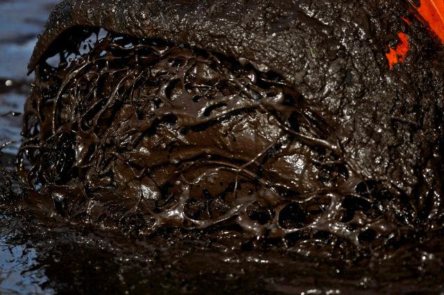 samaze_007-289 samaze_007-289